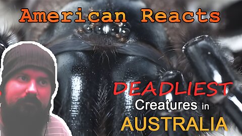 American Reacts to Top 15 Deadliest Creatures in Australia