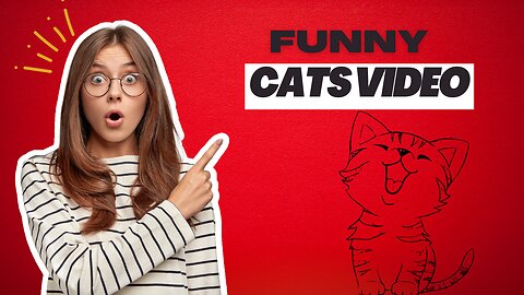 Funny Cats video