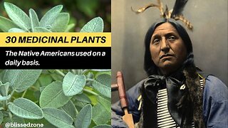 30 medicinal plants the Native Americans used on a daily basis