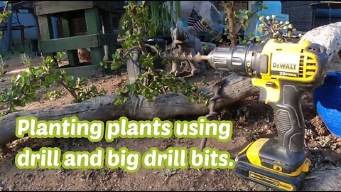 Planting plants using drill and big drill bits.