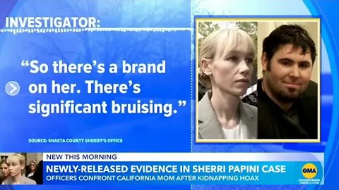 Kidnapping Hoax - Sherrie Papini Evidence Released & Sentencing