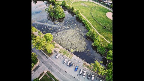 FERTILIZER 🤔, Merrick, Long Island, New York