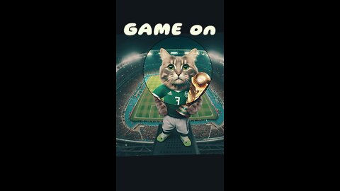 Let's Play Football~ Funny Cute cat win World Cup