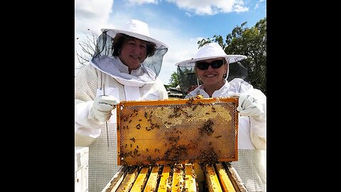 Focus on Farming – Inside a bee farm. 🐝