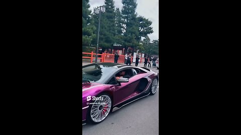 Lamborghini Fever 🥵🔥 #lamborghini #carslover