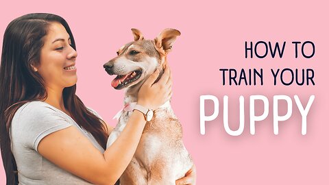 Positive Training: Transform Your Dog's Behavior with These Simple Techniques