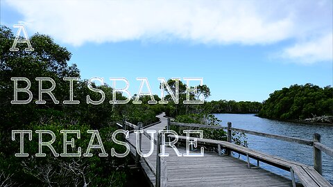 The Beauty of Nudgee Beach Reserve ('Hidden' Brisbane Treasure)