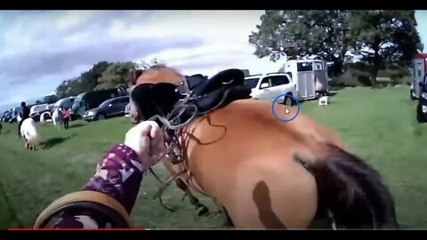 Horse Gets Loose & Runs Into Traffic - Owner Blames Horse - This Is A People Problem NOT The Horse