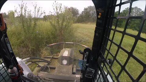 Bush hogging 5' high weeds with Bobcat T650 skid steer Cab view! Land management CTL!