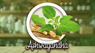 Ashwagandha - Stress Relief, Immune Boost, Energy