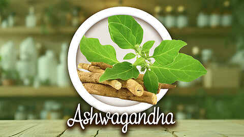 Ashwagandha - Growing, Traditional Use, Scientific Benefits, Metaphysical Use and More!