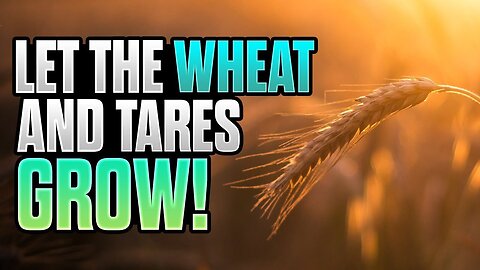Let The Wheat And Tares Grow Together // Daniel Adams