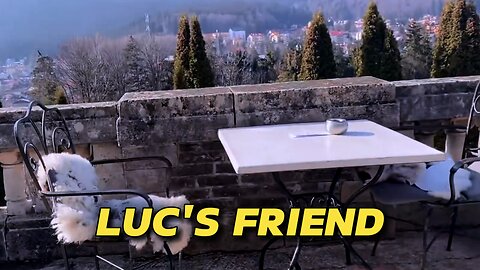 LUC'S FRIEND