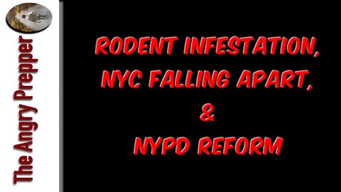 Rodent Infestation, NYC Falling Apart, & NYPD Reform