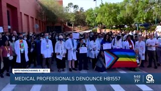 Medical professionals denounce 'Don't Say Gay' law