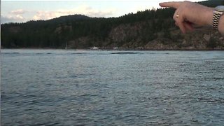 Ogopogo Monster Leaves "Wake In The Lake", Okanagan Lake, British, Columbia