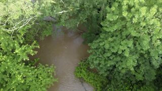 Greenville Creek Log Jam