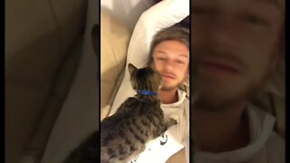 Cat trying to give me kisses