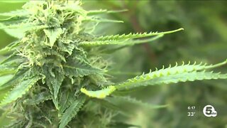 Ohio's medical marijuana market set to more than double in 2023