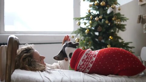 Caucasian girl plays with pet for treat on bed next to decorated tree Christmas & New Year in self