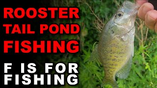 Rooster Tail Pond Fishing