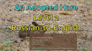 An Adopted Hare: Level 2 - Russian-to-English