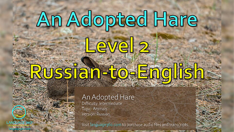 An Adopted Hare: Level 2 - Russian-to-English
