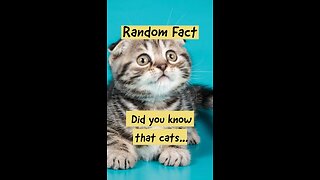 Like and Follow to discover more funny facts about our furry feline friends! #catfacts #catlovers