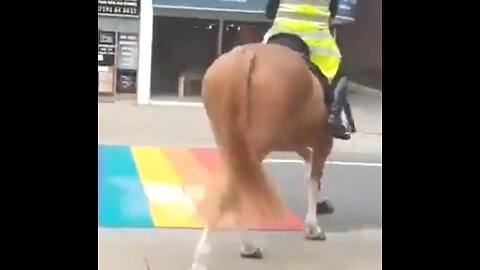 Police horses don't trust the rainbow flag