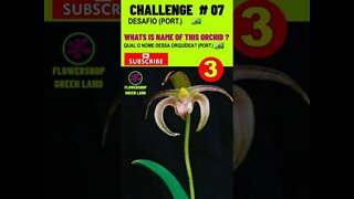 CHALLENGE # 07 |WHATS IS NAME OF THIS ORCHIDS?| YOU WANT TO LEARN? | # SHORT