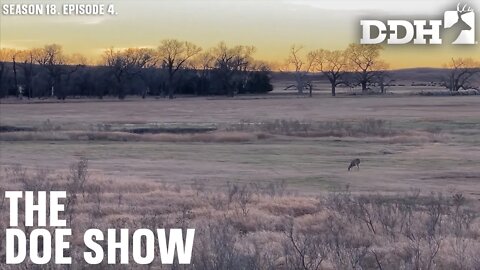 The Doe Dilemma | Deer & Deer Hunting TV