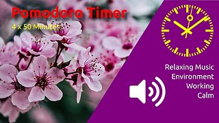 Pomodoro Timer 4 x 50min ~ Environment - Calm & Relaxing Music