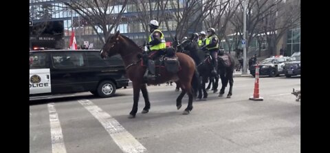 POLICE SHOW UP IN FORCE AT CITY HALL IN CALGARY ALBERTA CANADA