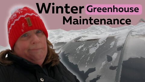 Winter Greenhouse Maintenance | The Not So Fun Part Of Winter Homesteading