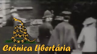 Feminismo e o declínio da felicidade da mulher - HD | Crônica Libertária - 28/10/19 | ANCAPSU