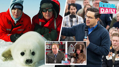 Pierre Poilievre defends sustainable seal hunting
