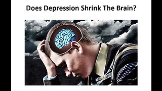 Stress, Depression & The Shrinking Brain
