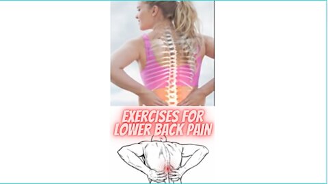 exercises for lower back pain #Workouts #shorts