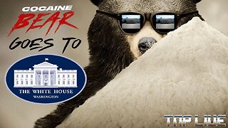 Cocaine Bear Goes To Washington TNP LIVE EP90