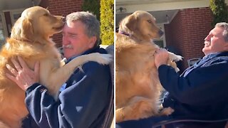 Dog Isn't Happy When Asked To Social Distance From Best Friend