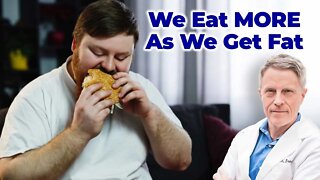 Is Eating Making us FAT? Or Is Getting Fat MAKING US EAT?