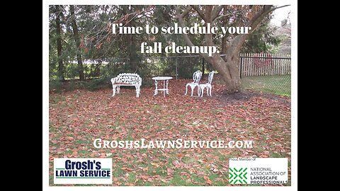 Leaf Cleanup Williamsport Maryland Lawn Mowing Service