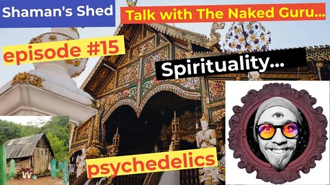 #15 Talk with The Naked Guru | psychedelics | Vedanta | Jungian Psychology | LSD benefits and more.