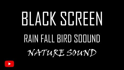 Rain Fall With Bird Sound White Noise 10 Hours Black Screen