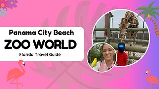 Step into the Wild: Virtual Tour of Panama City Beach's Zoo World