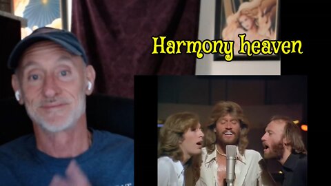 "Too Much Heaven" (Bee Gees) reaction