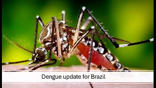 Dengue update in Brazil