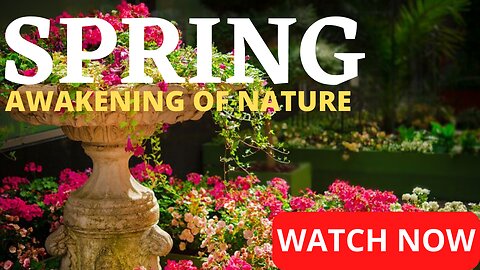 Spring - Awakening of Nature | An Amazing Scenic Video with light Piano Sounds | UltraHD 4K