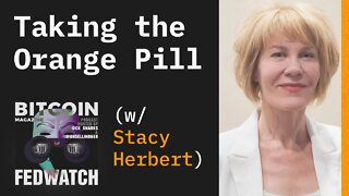Taking the Orange Pill w/ Stacy Herbert - Fed Watch 22 Bitcoin Magazine