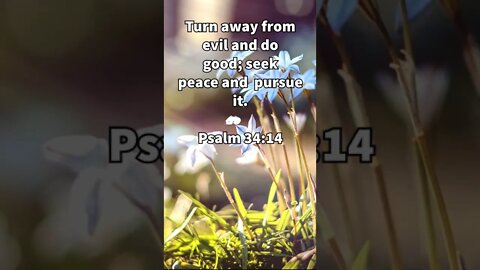 TURN FROM EVIL AND SEEK PEACE! | CHRISTIAN BIBLE VERSES | Psalm 34:14